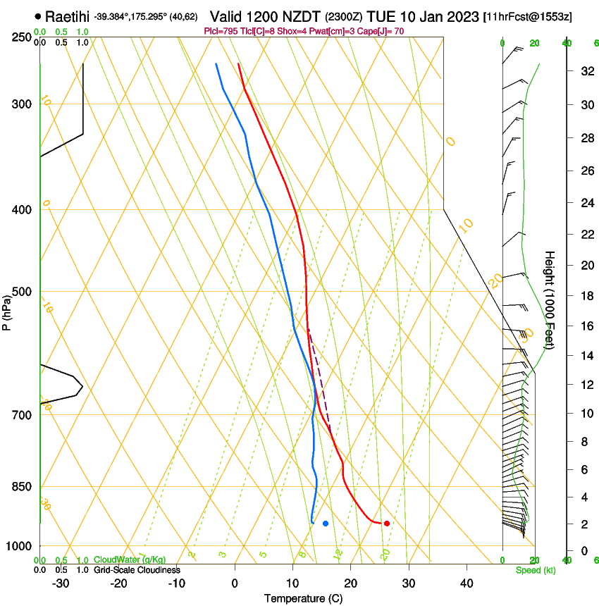 forecast image