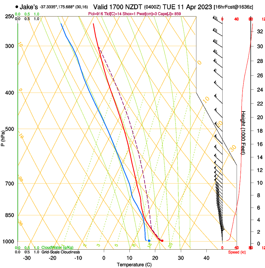 forecast image